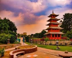 Web Development Services in Chandigarh